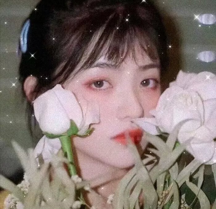 恶魔阴谋